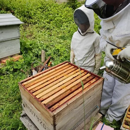 D'hotes Domaine De La Jonquiere, Oda ve Kahvaltı 3*
