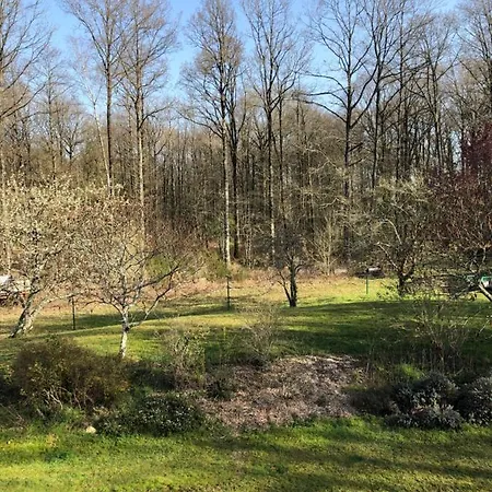 D'hotes Domaine De La Jonquiere, 3*