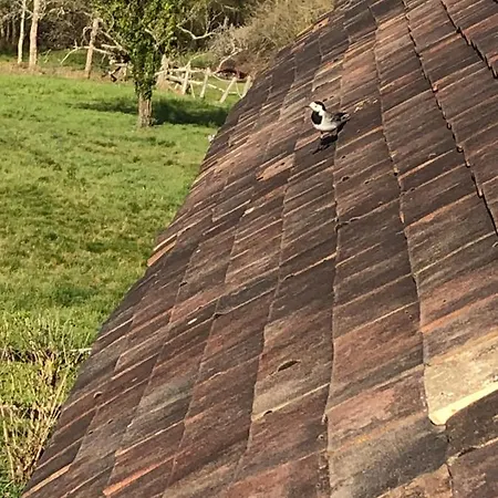 D'hotes Domaine De La Jonquiere, 3*