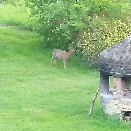 D'hotes Domaine De La Jonquiere, Oda ve Kahvaltı Bouloire