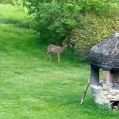 D'hotes Domaine De La Jonquiere, Bed & Breakfast 3*