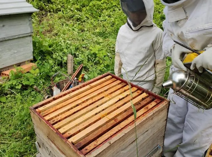 D'hotes Domaine De La Jonquiere, فندق مبيت وإفطار 3*