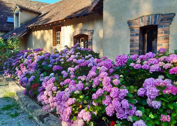D'hôtes Domaine De La Jonquière,